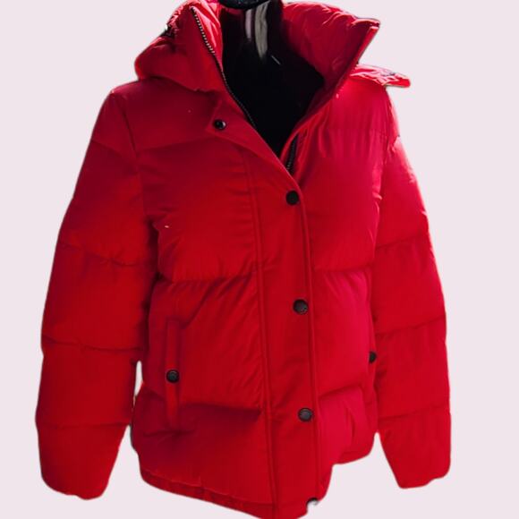 BCBG Red Short Eco Fill Boxy Hoodie Hooded Puffer Jacket ~ size XS, NEW - Picture 1 of 7